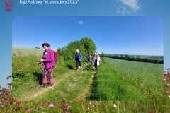 Dodaj podtytuł - 15