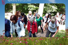 Dodaj podtytuł - 26